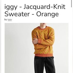 Mens Sweater NWT Iggy NYC Jacquard Sweater LArge Cable Knit Sweater